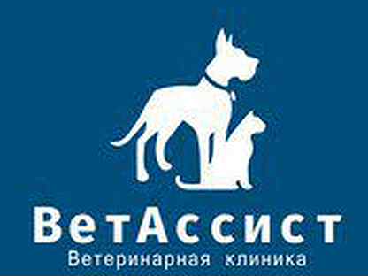 Ветклиника лобня. Требуется администратор ветеринарной клиники. Требуется ветеринарный врач. Обязанности администратора ветклиники. Администратор в ветклинике.