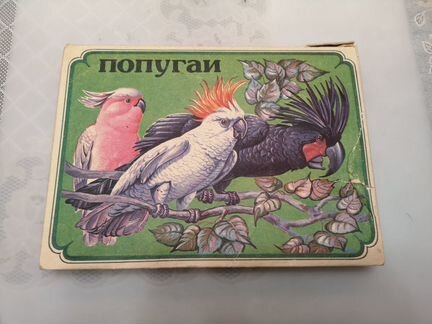 Сувенирный набор спичек 