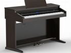 Orla CDP 202 палисандр пианино + планшет в подарок