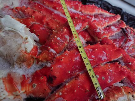 Краб- Камчатский. Крупный размер L3 Меркурий