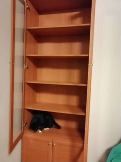 Шкаф двухстворчатый с нижним отделением